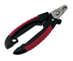 גוזם ציפורניים