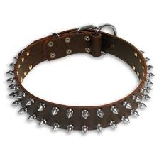 קולר עור ניטים