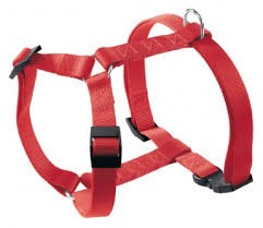 רתמה החל מ 40