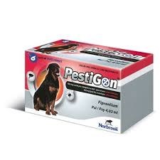 פסטיגון 40-60 ק"ג-6 אמפולות בחב'