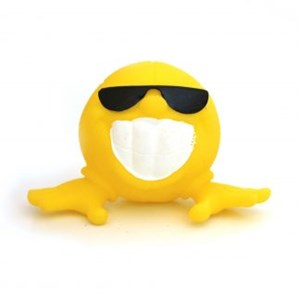 צעצוע מצפצף